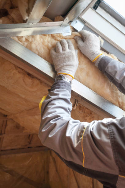 Best Local Insulation Services  in Agler Estates, FL