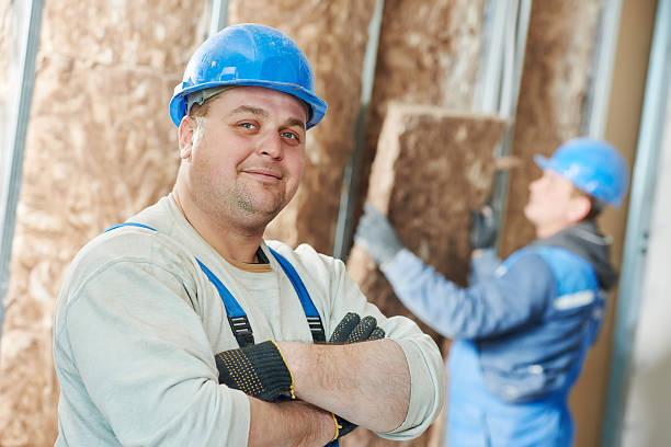 Best Insulation Replacement Services  in Agler Estates, FL